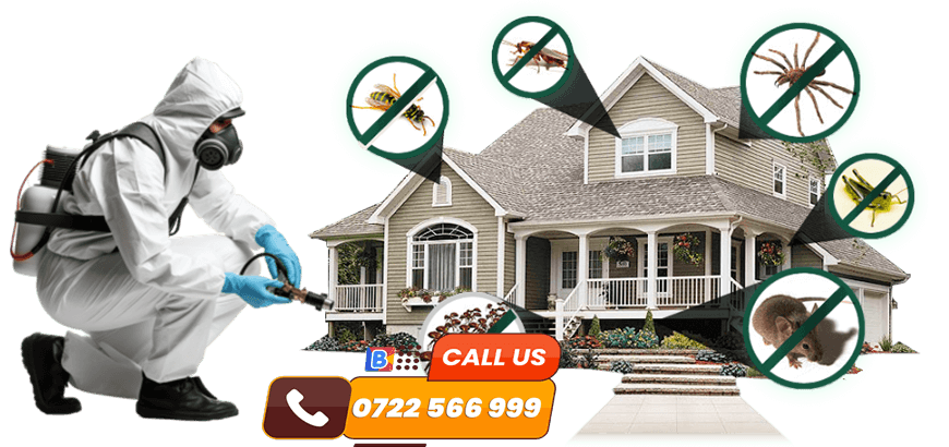 Fumigation Services in Nairobi & Kenya